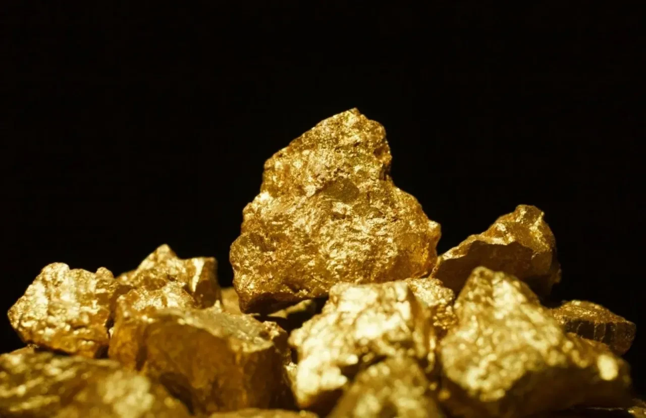 Rekor diyerek duyurdular: Tonlarca altın buldular