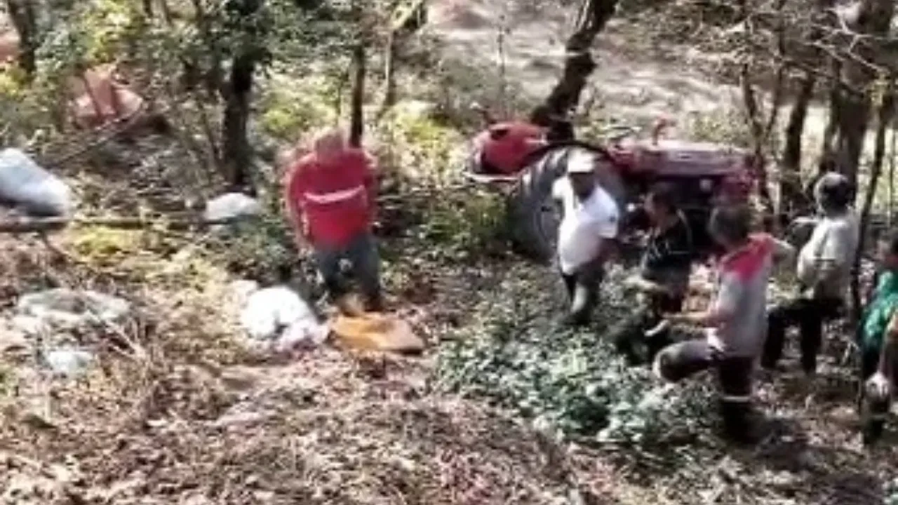 Sakarya'da fındık bahçesinden dönen kişi hayatını kaybetti!