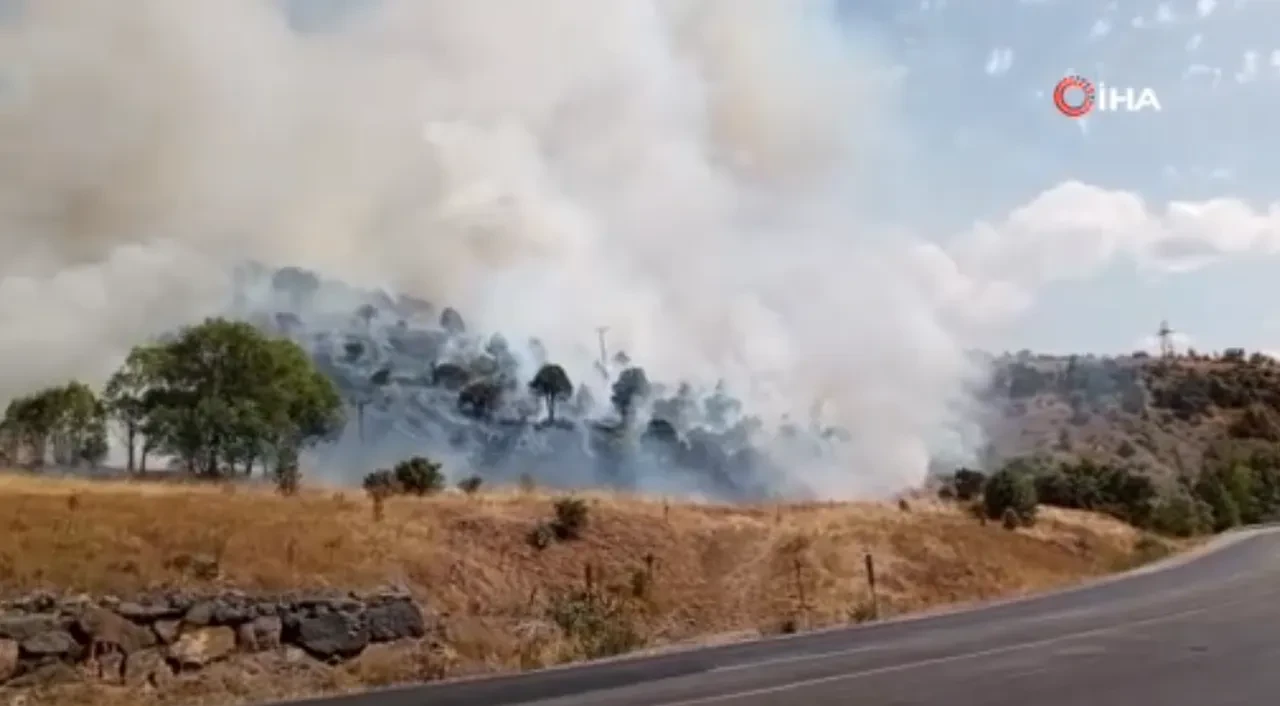 Sivas Zara yangın son dakika kontrol altına alındı mı? Geminbeli geçidinde yangın çıktı