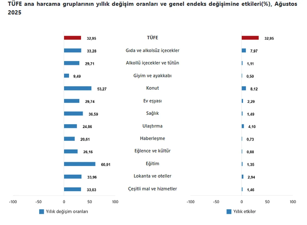 TÜİK enflasyon rakamlarını açıkladı: İşte Ağustos ayı enflasyon verileri