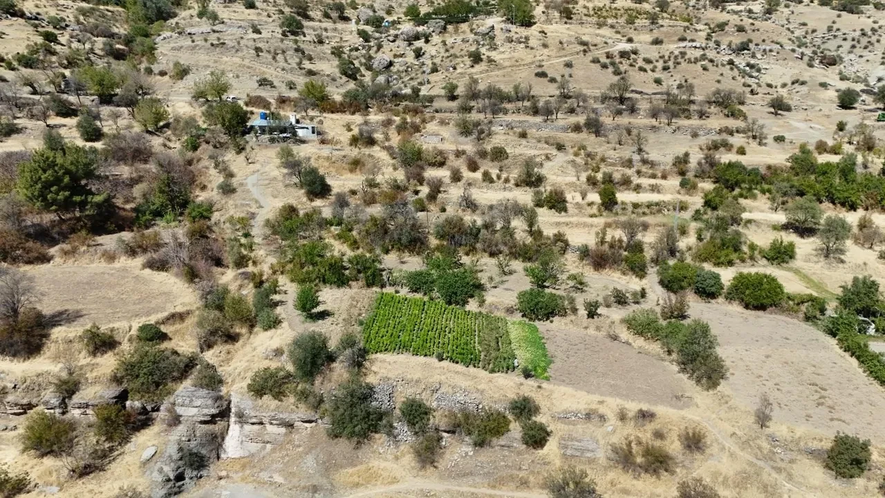 Kocasının emekliliği sonrası hayatını değiştirdi! Başlattığı girişimle taleplere zor yetişiyor