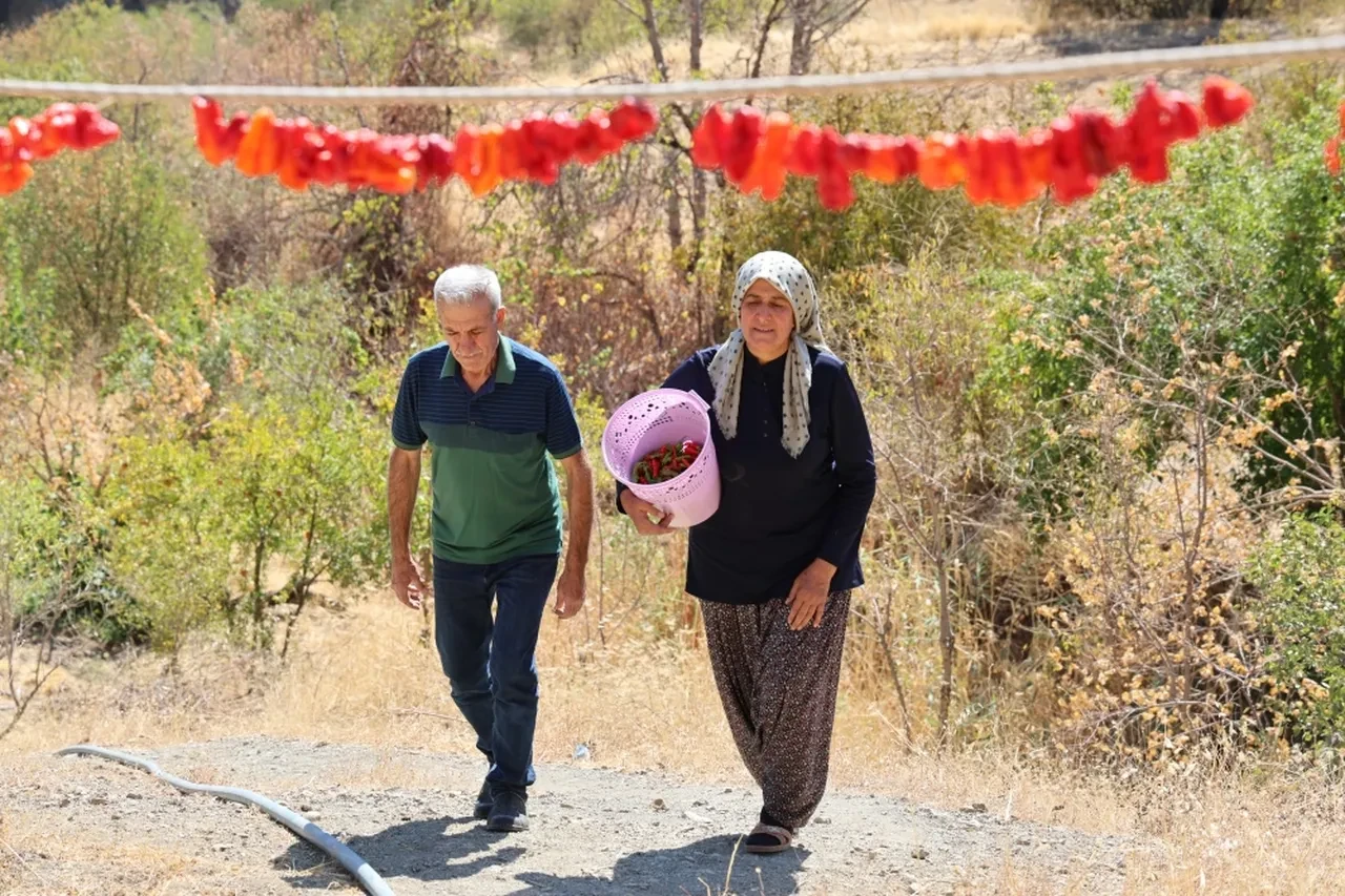 Kocasının emekliliği sonrası hayatını değiştirdi! Başlattığı girişimle taleplere zor yetişiyor