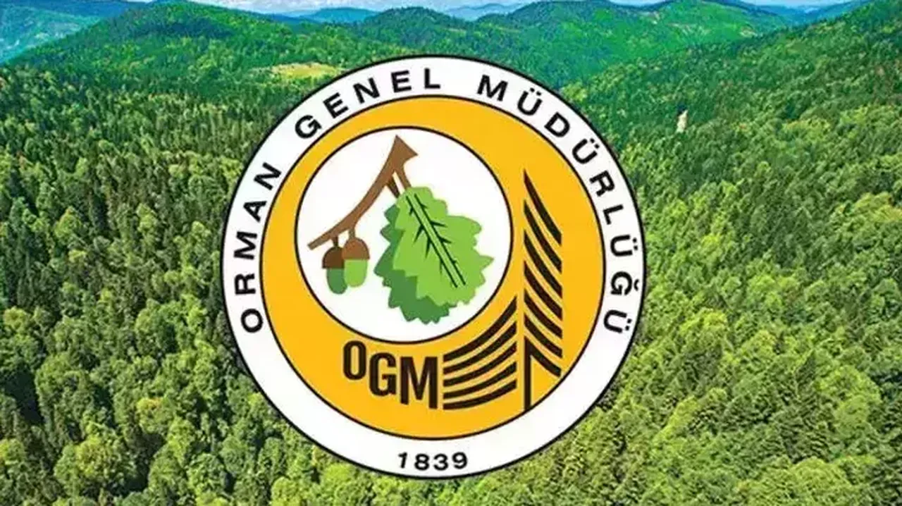 OGM 262 işçi alımı başvuruları başladı! OGM başvuru şartları ve son gün