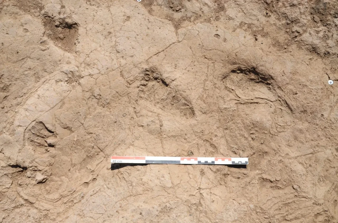 Tarihe ışık tutacak keşif! Tam 7 bin yıllık: Yağmurda atılan adımlar keşfedildi