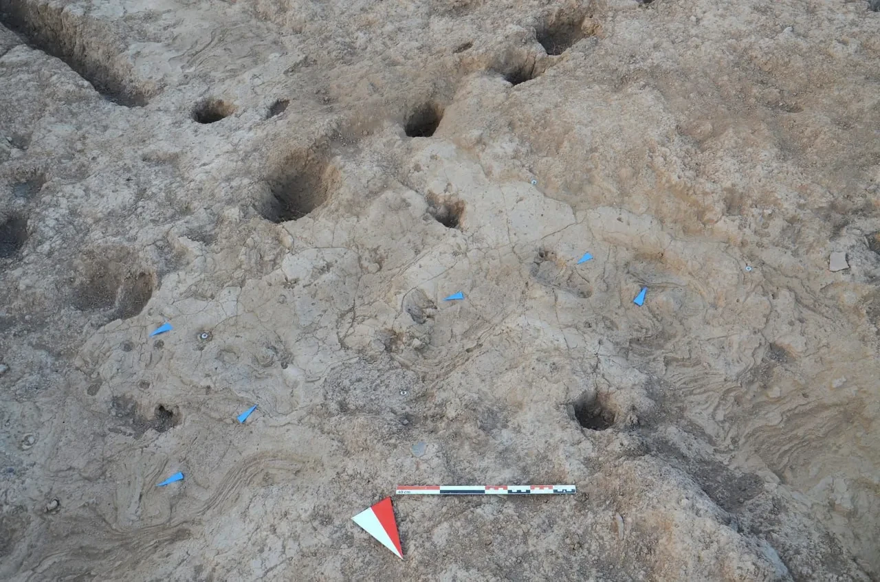 Tarihe ışık tutacak keşif! Tam 7 bin yıllık: Yağmurda atılan adımlar keşfedildi