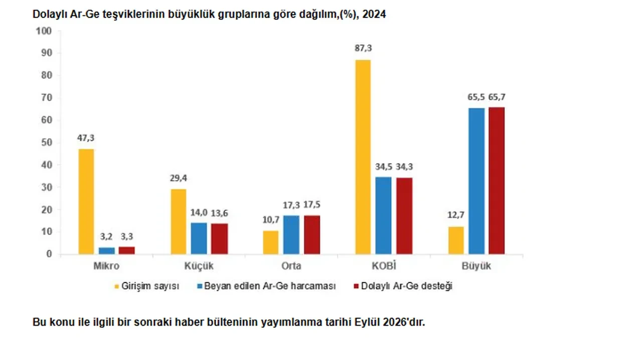 Dolaylı Ar-Ge teşviki 2024 yılında 105 milyar 977 milyon TL oldu