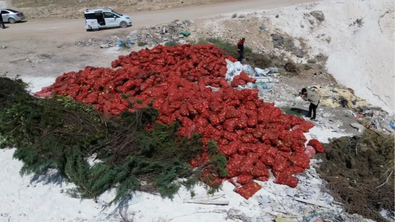 Karaman'da şoke eden görüntü! Tonlarcası yol kenarına atıldı