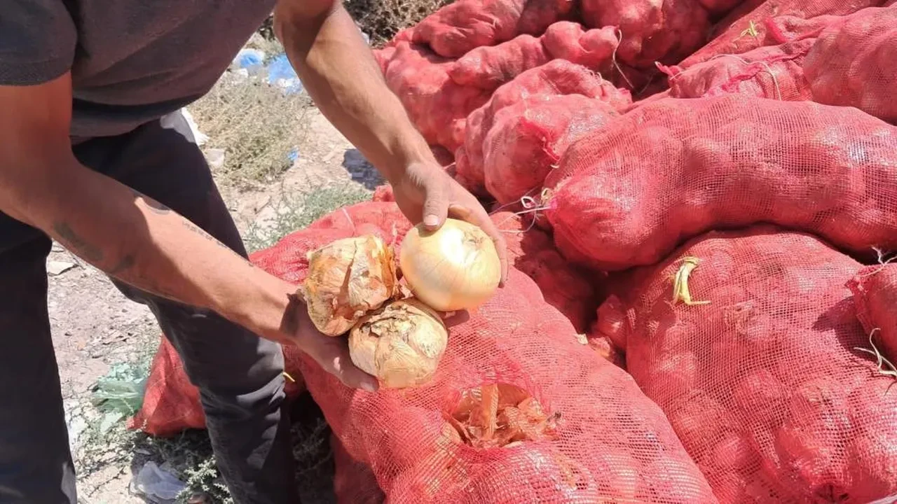Karaman'da şoke eden görüntü! Tonlarcası yol kenarına atıldı