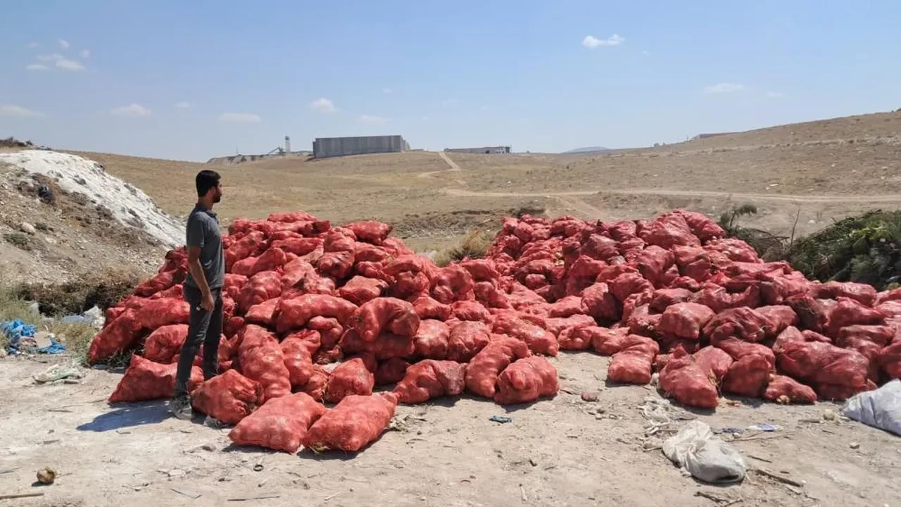 Karaman'da şoke eden görüntü! Tonlarcası yol kenarına atıldı