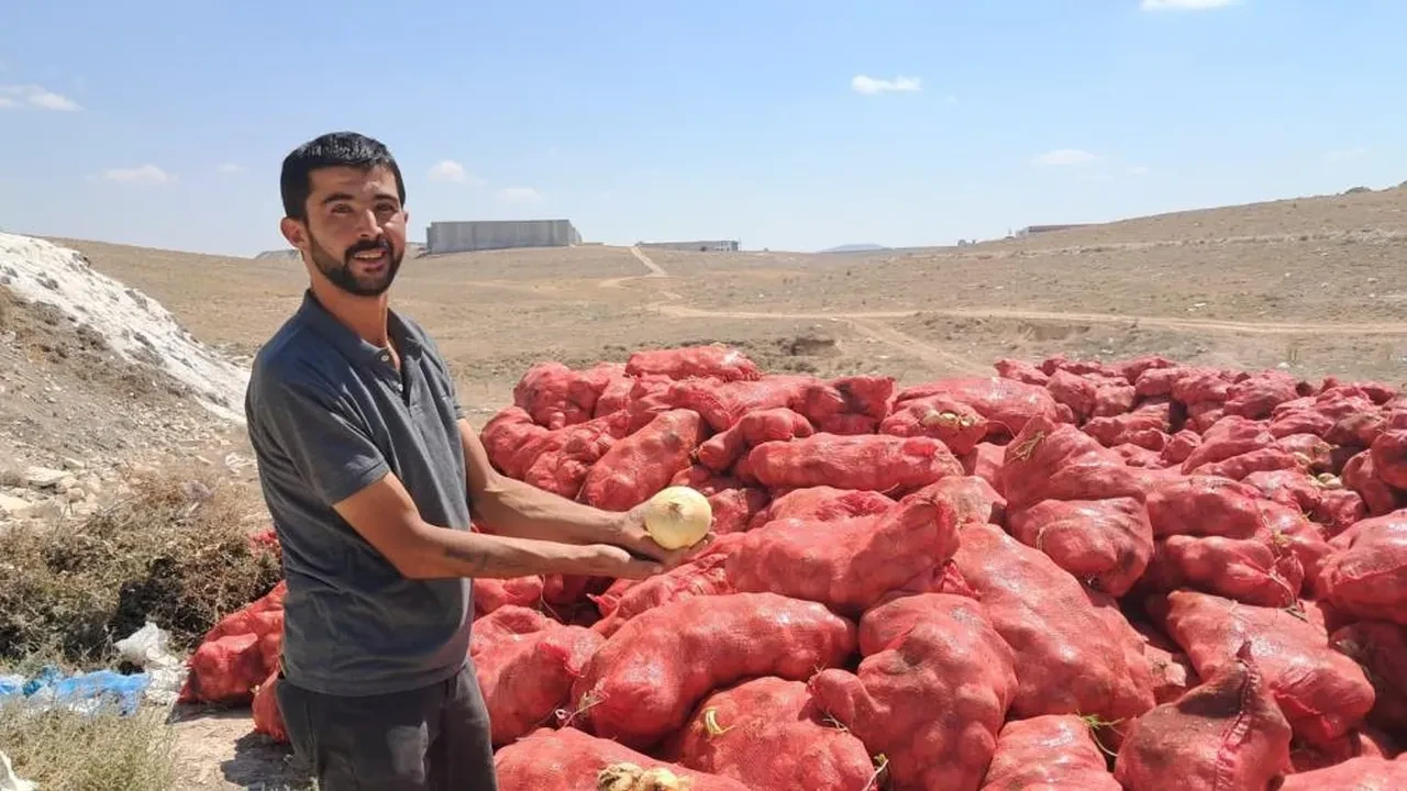 Karaman'da şoke eden görüntü! Tonlarcası yol kenarına atıldı