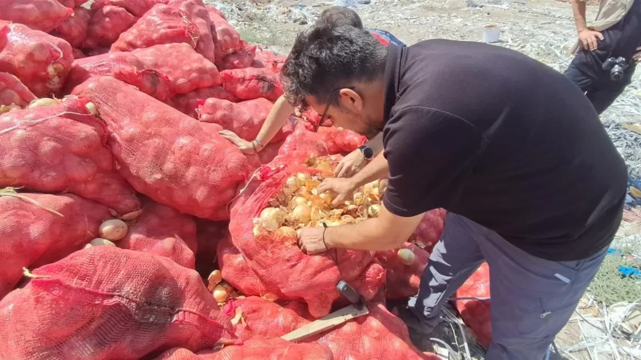 Karaman'da şoke eden görüntü! Tonlarcası yol kenarına atıldı