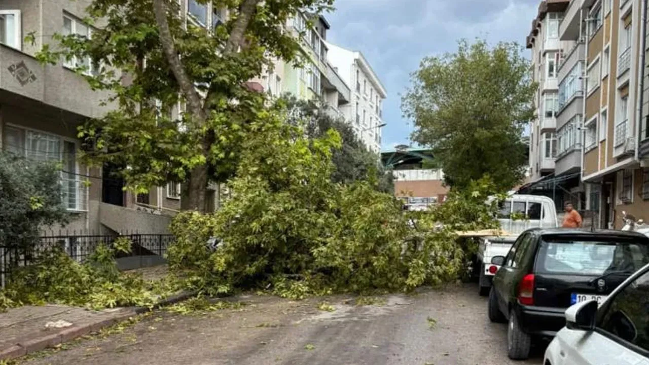 Meteoroloji'den sarı kodlu uyarı: Kuvvetli sağanak ve poyraza dikkat!