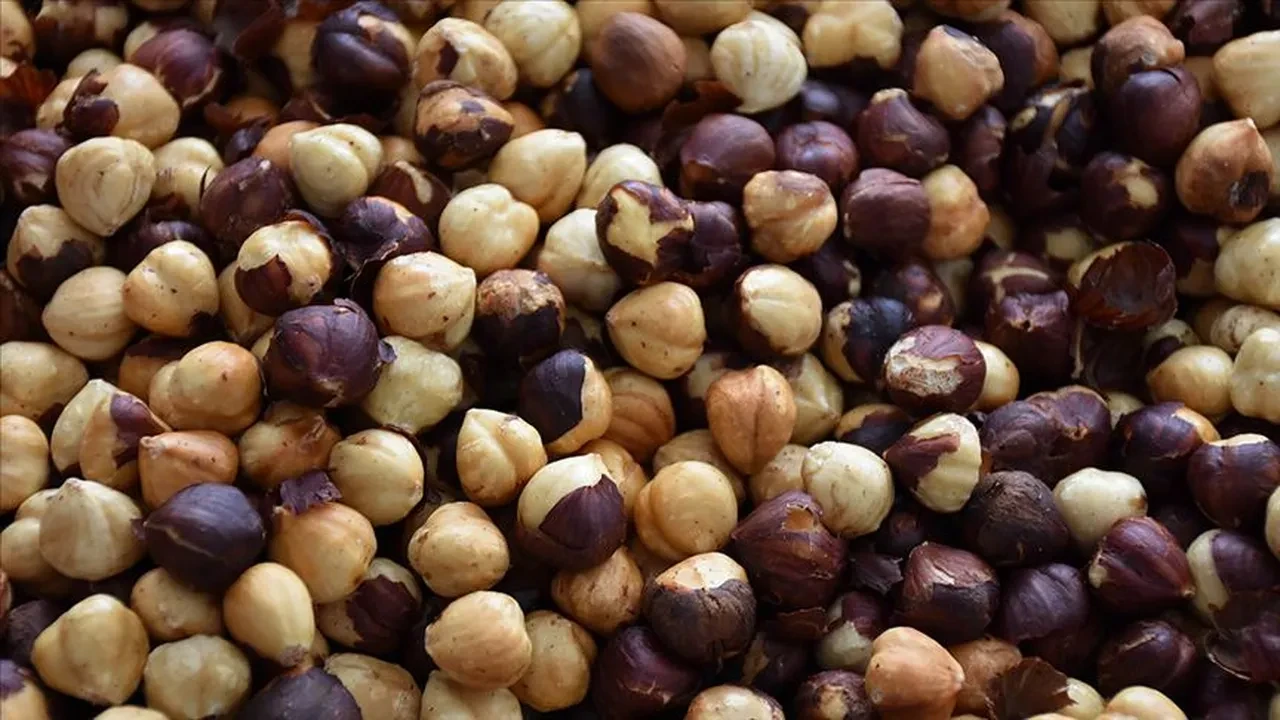 Türkiye fındıktan 2,5 milyar dolardan fazla gelir kazandı