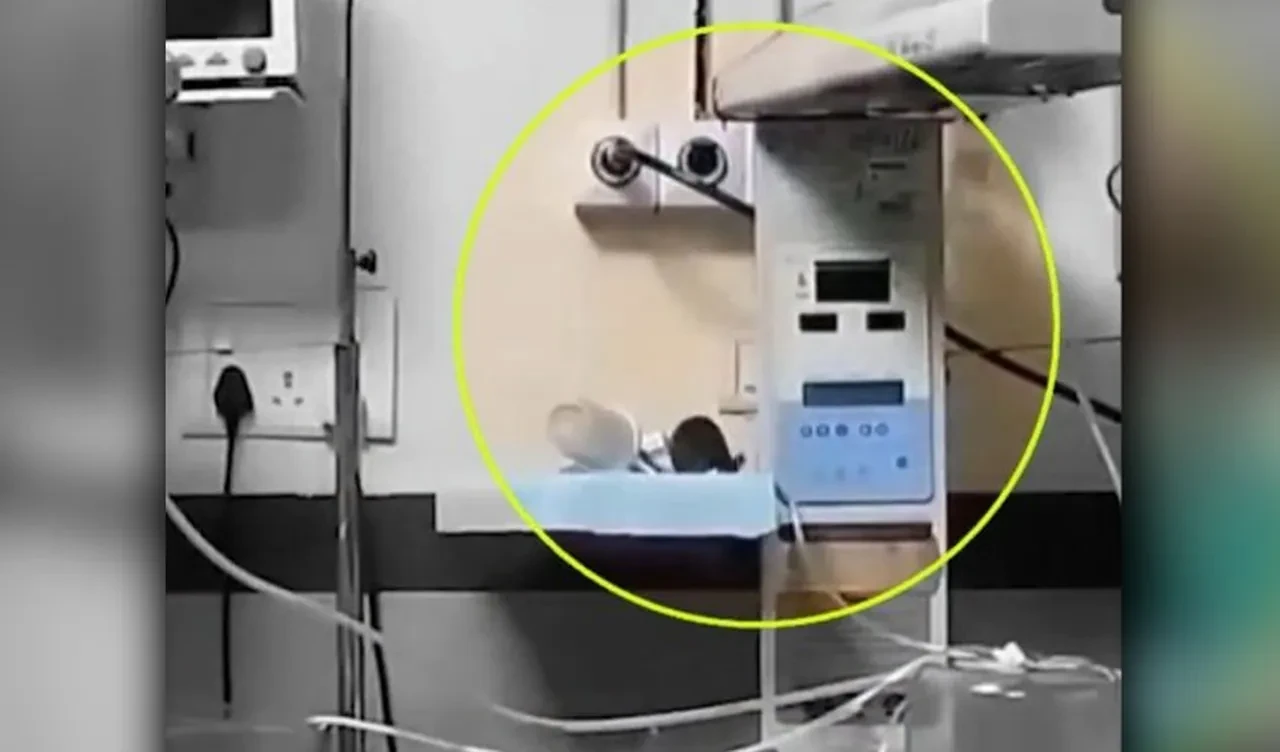 Ülkenin en temiz şehri deniyordu! Yenidoğan bebek ünitesinde fare skandalı