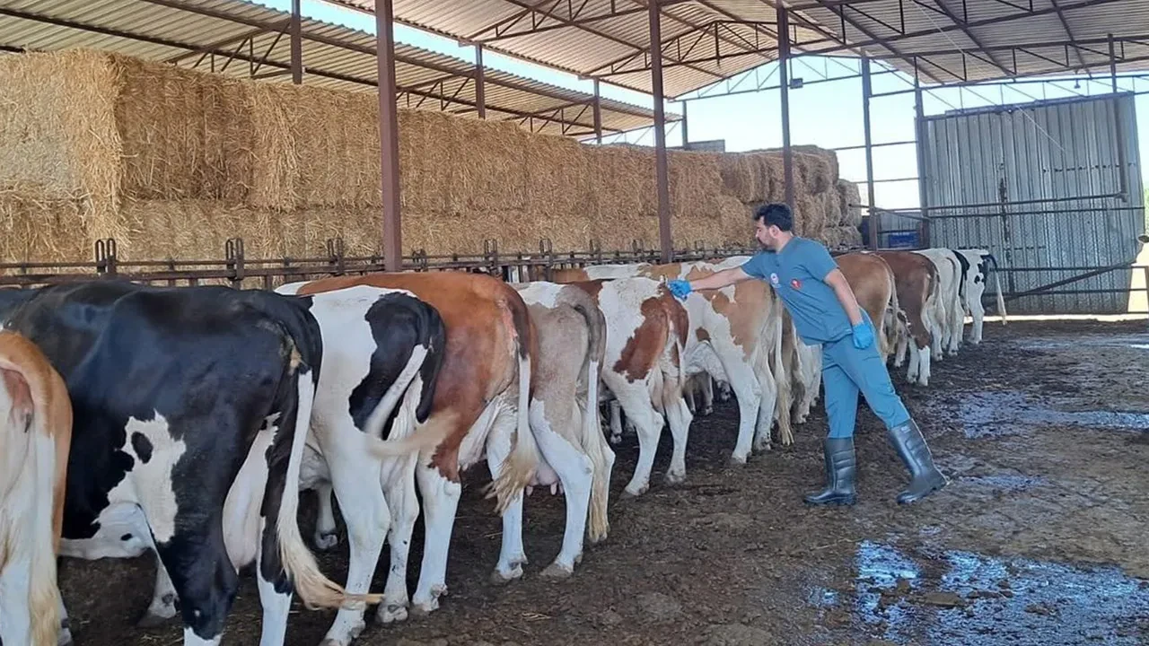Aydın'da 14 mahalleye karantina kararı!