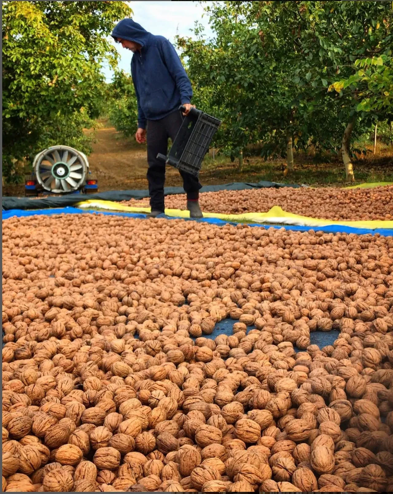 Burak Hakkı İstanbul'u terk etti, köy hayatıyla merak konusu oldu 