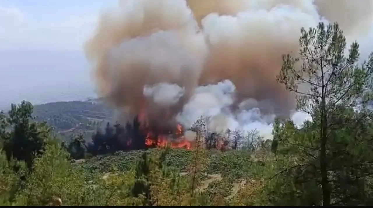 Bursa orman yangını söndü mü son dakika? Gündoğdu'da alevler yükseliyor
