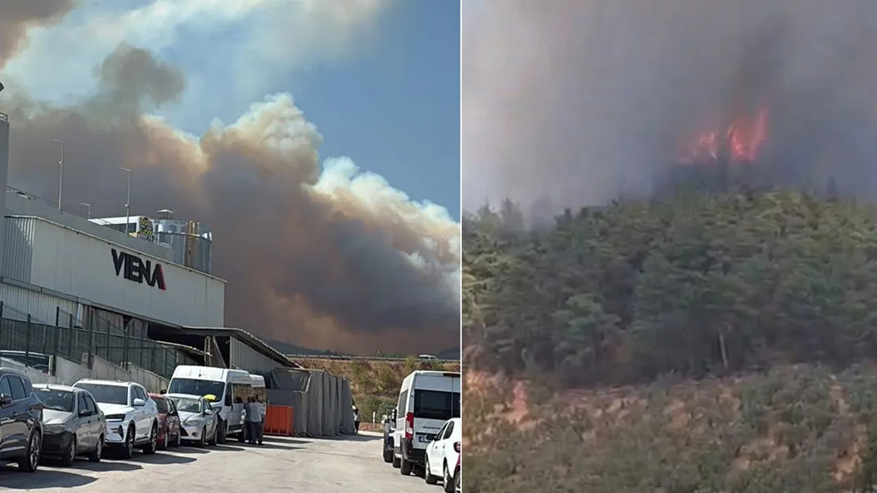 Bursa'da orman yangını! Ekipler müdahale ediyor, alevler köye sıçrıyor