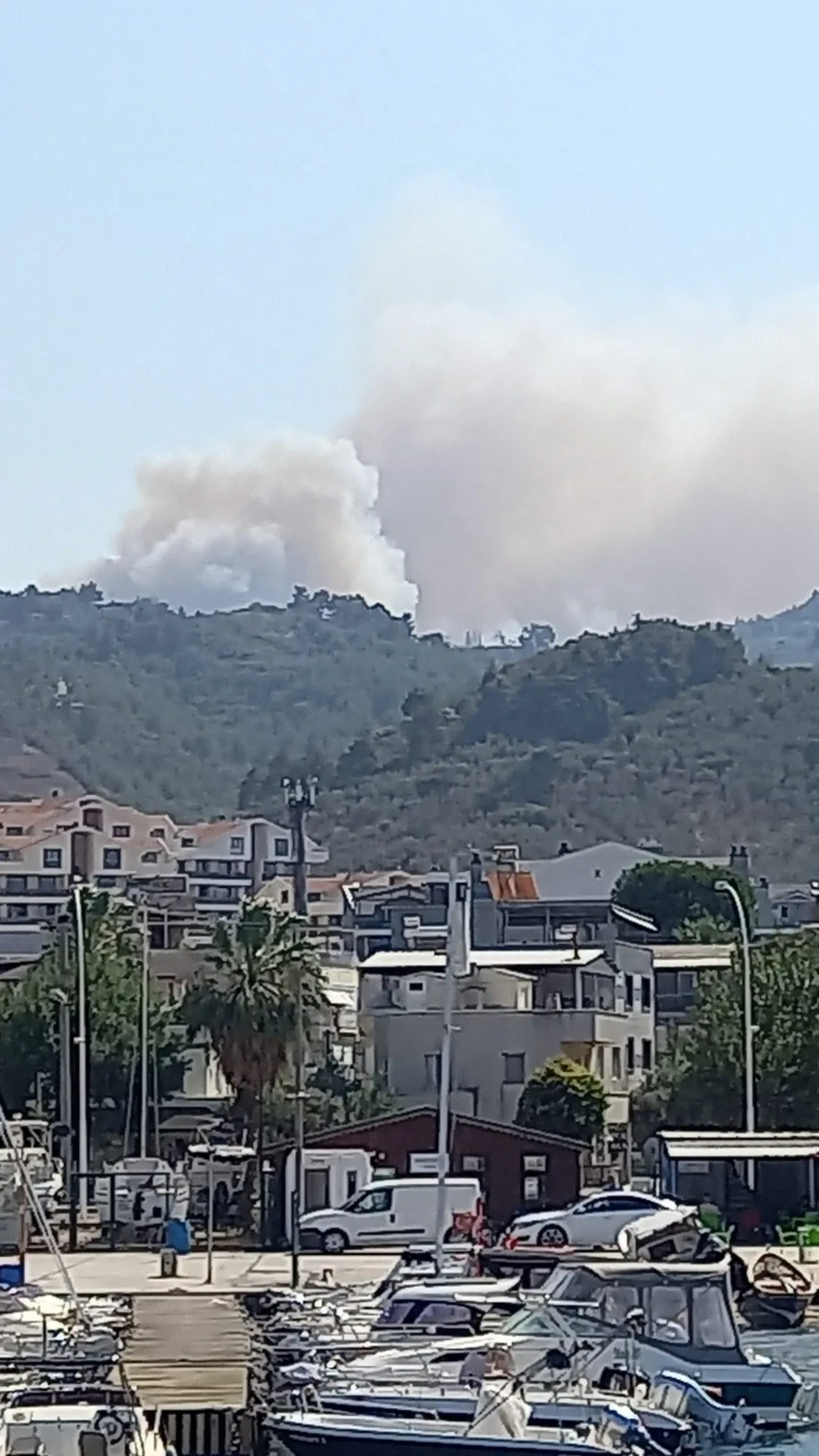 Bursa'daki orman yangını kontrol altına alındı