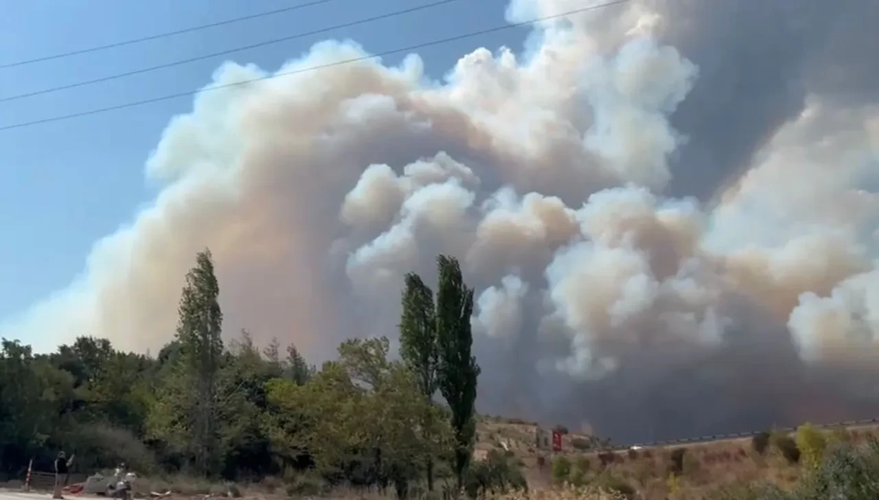 Bursa'daki orman yangını kontrol altına alındı