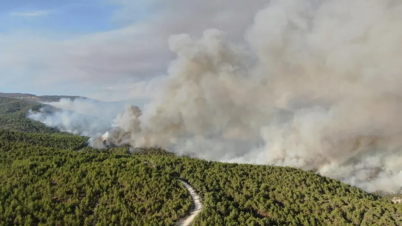 Kastamonu'daki yangında acı tablo açıklandı
