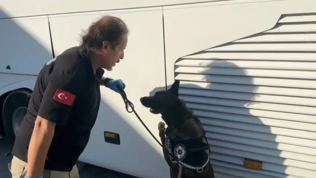 Pul biber paketlerinde uyuşturucu çıktı! İşte detaylar