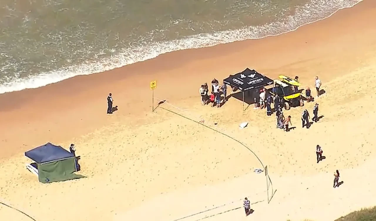 Avustralya'da köpek balığı dehşeti! 30 dakikalık sörf hayatını mal oldu