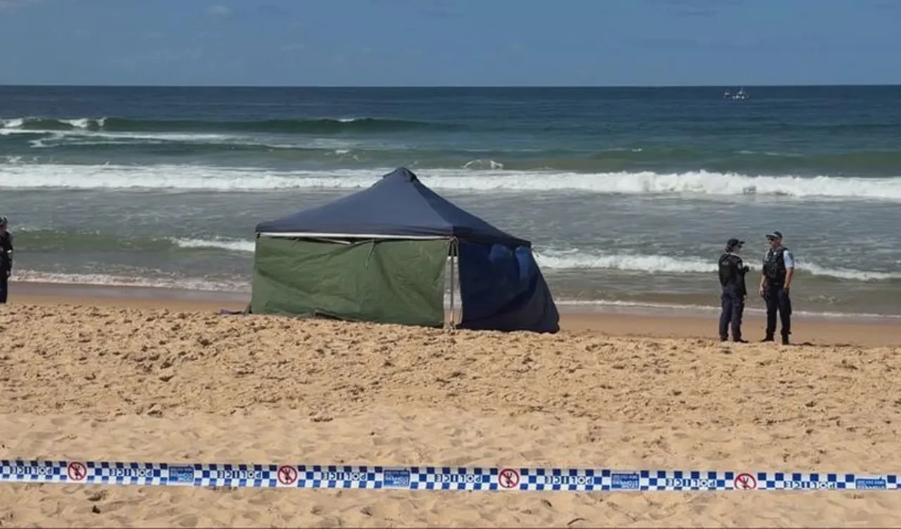 Avustralya'da köpek balığı dehşeti! 30 dakikalık sörf hayatına mal oldu