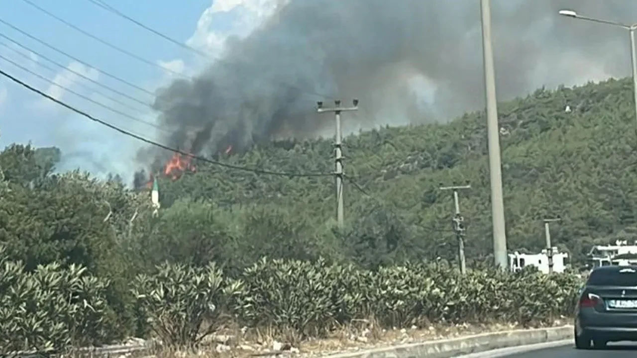 Bodrum'daki orman yangını kontrol altına alındı