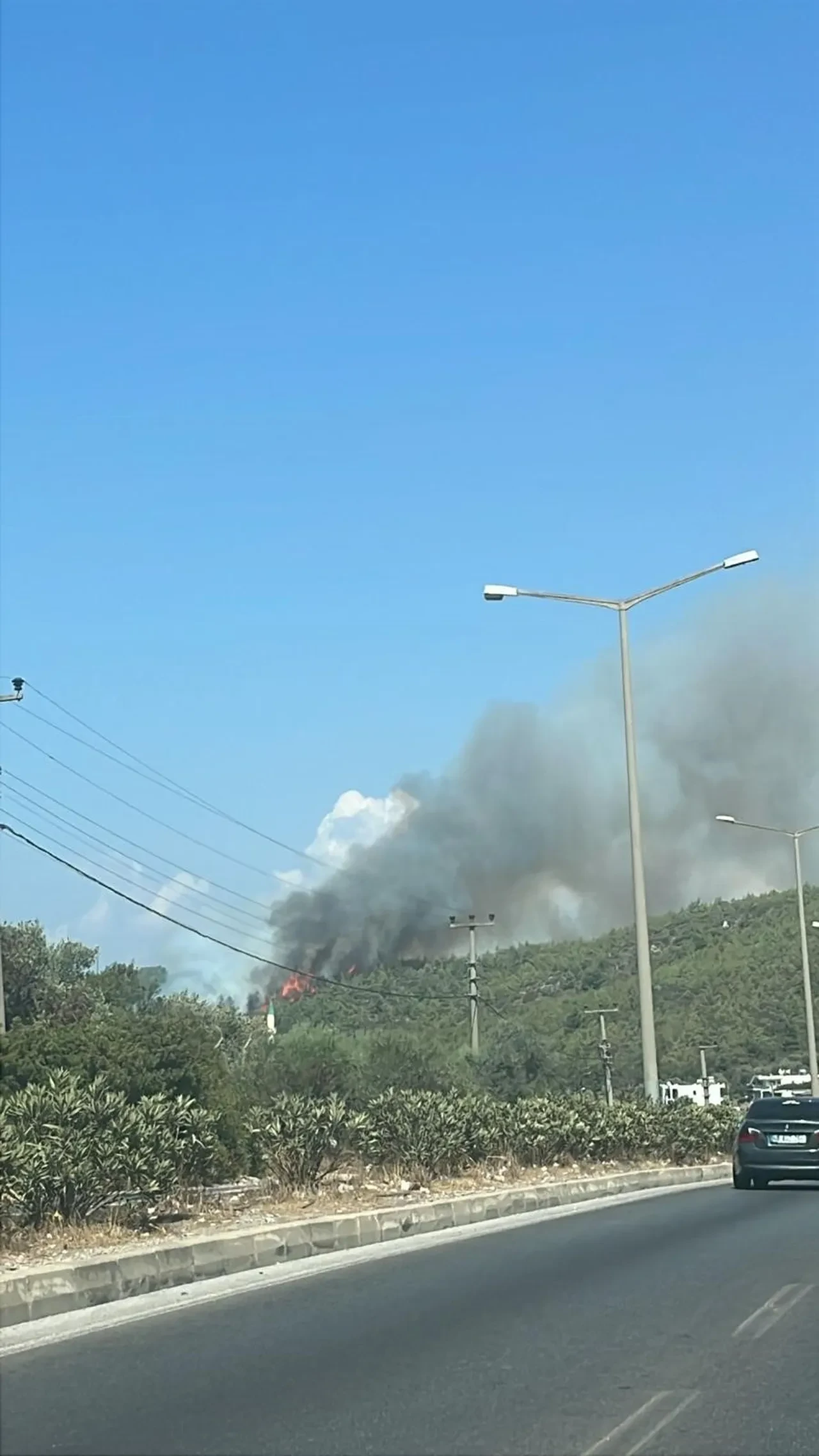 Bodrum'daki orman yangını kontrol altına alındı
