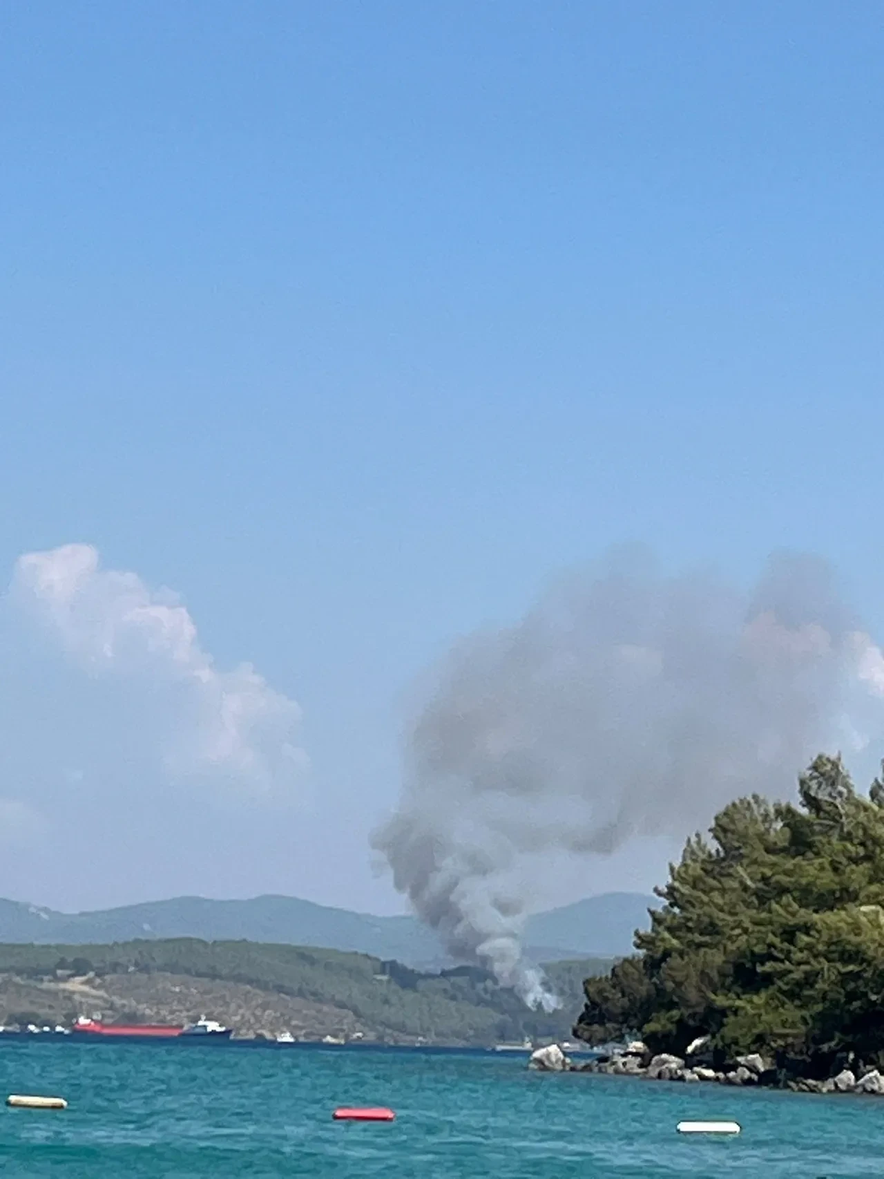 Bodrum'daki orman yangını kontrol altına alındı