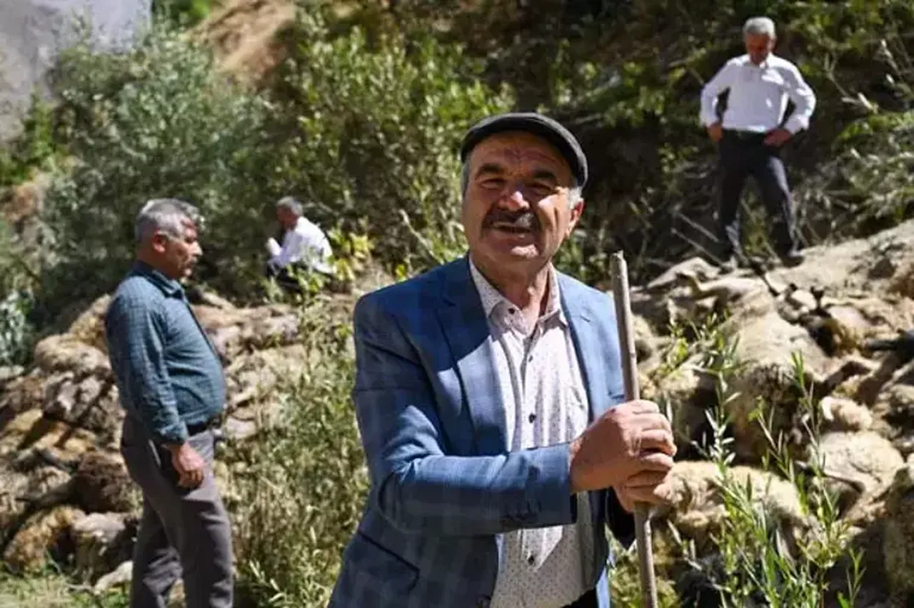 Çobanlar da durduramadı! Sürü psikolojisinin acı sonu: 334 hayvan telef oldu