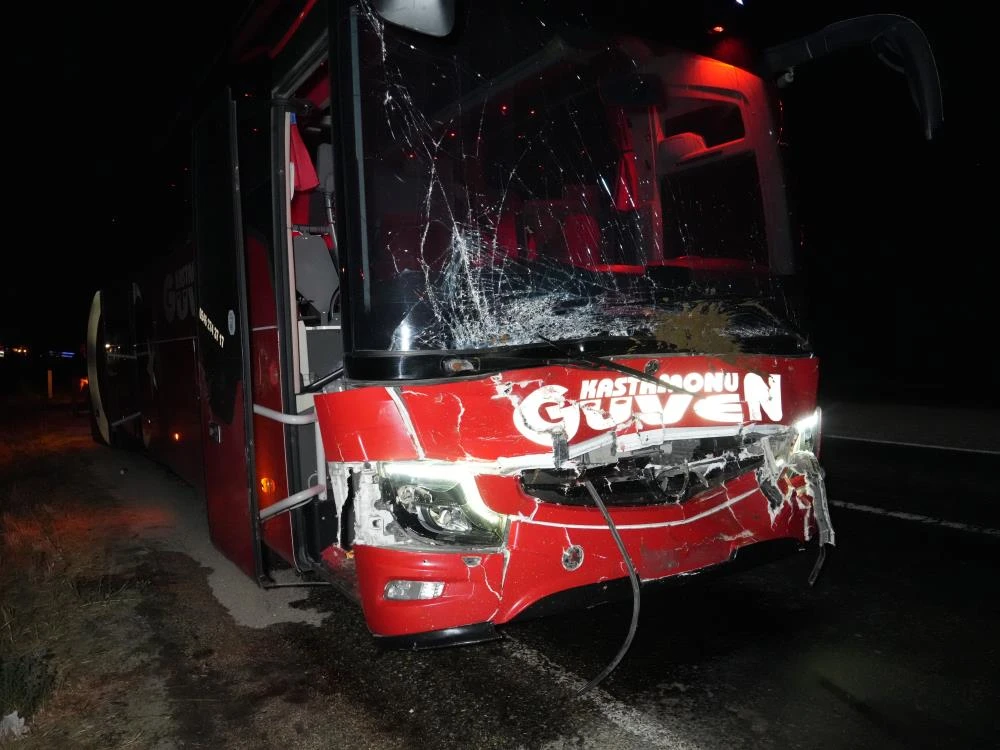 Kastamonu'da yolcu otobüsü ve cip hayvanlara çarptı