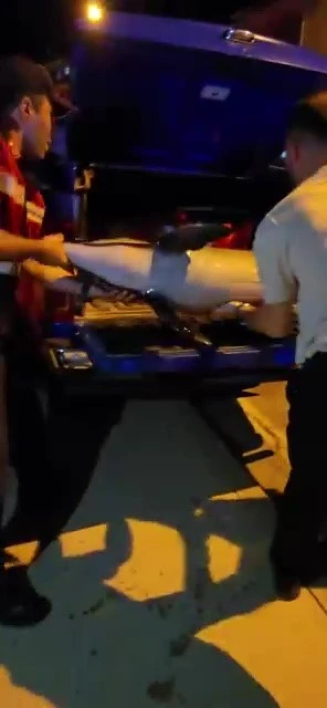 Bursa Gemlik kıyılarına ölü yunus balığı vurdu