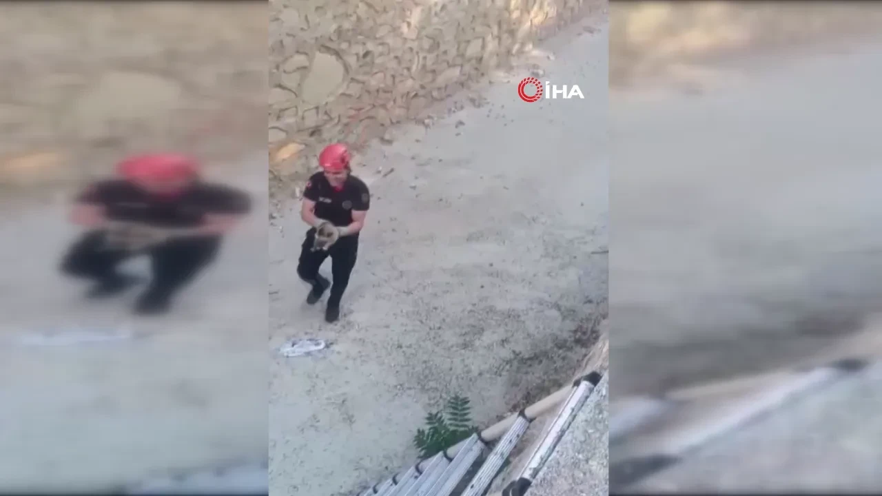 Kanala düşen yavru köpeğin zor anları! Kurtarılma anı kamerada