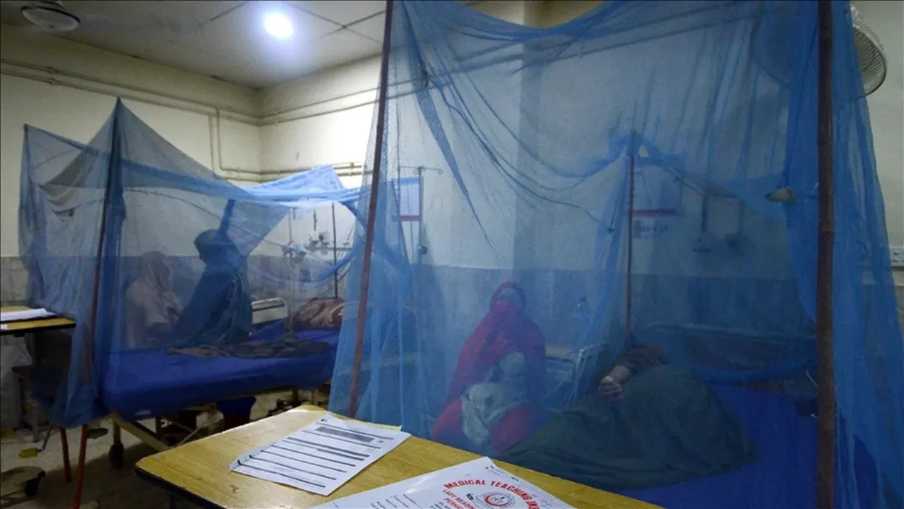 Bangladeş'te dang humması ölümlerinde korkutan artış! Her şey bir sivrisinekle başladı
