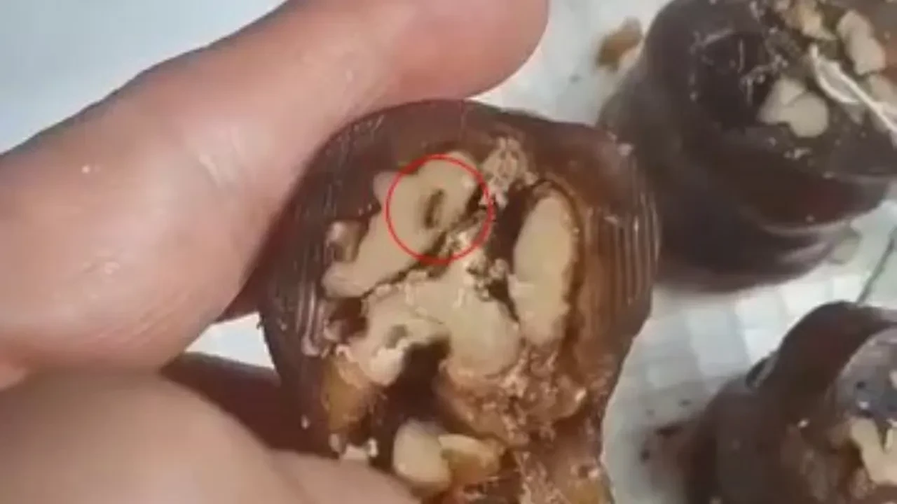 Cevizli sucuğun içinden çıkanlar mide bulandırdı! 