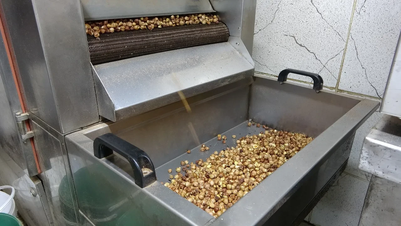 Karadeniz'de fındık hasadı tamamlandı: Rekolte düşük