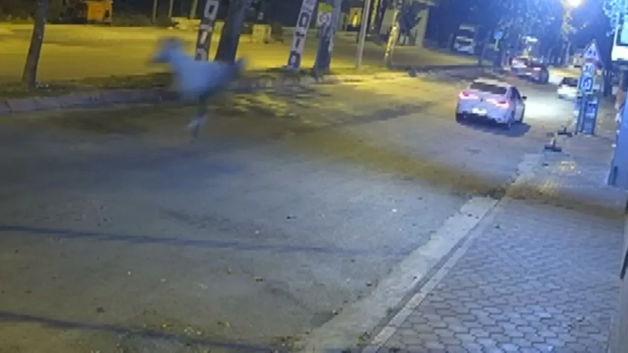 Otomobil caddede koşan ata böyle çarptı