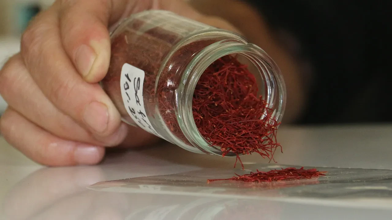 Kilosu 250 bin TL olduğu için sahtesi üretiliyor, gerçeği suda belli oluyor