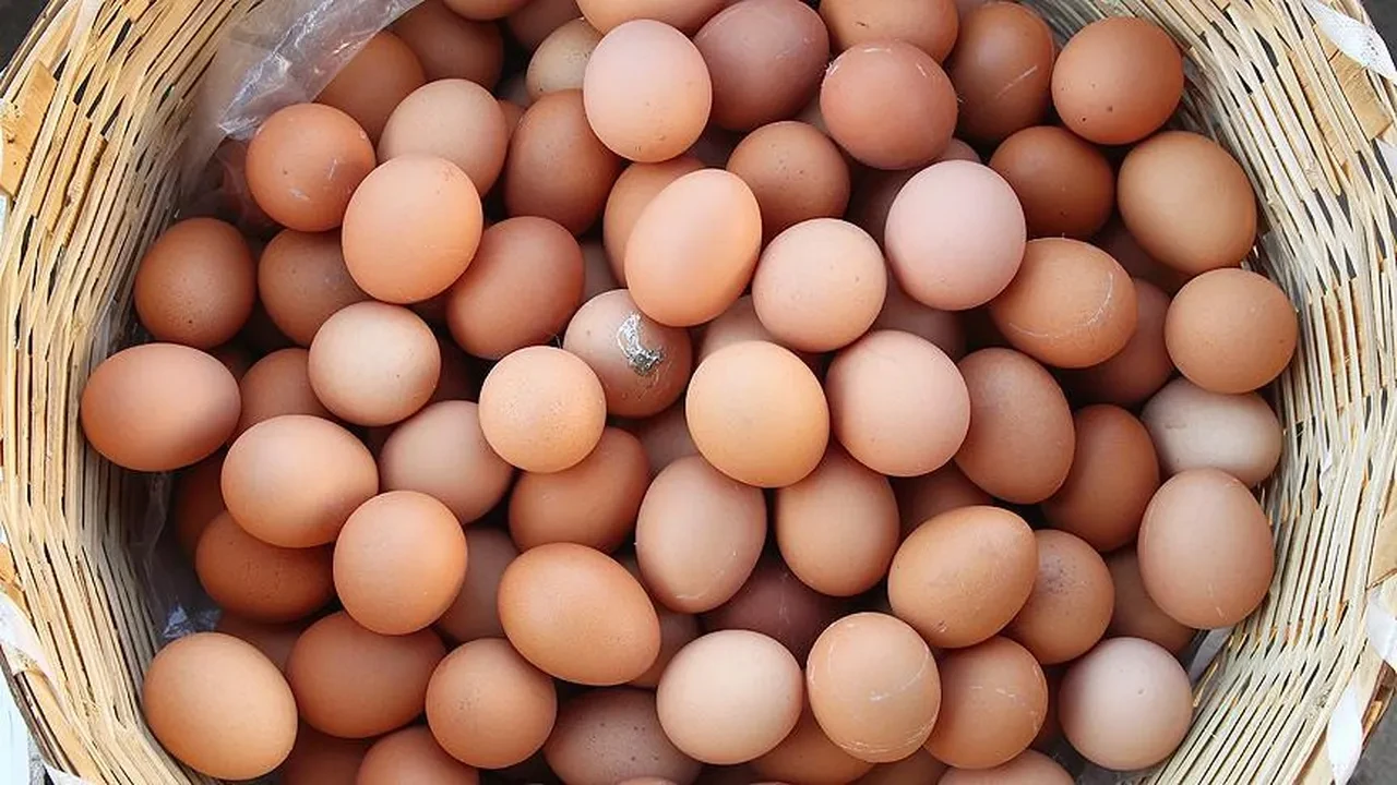 Veliler dikkat! Okullar açıldı, yumurtaya zam geldi