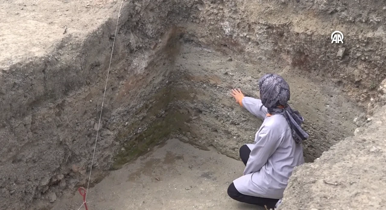 Yerin altından çıktı, görenler heyecanlandı! Samsun'da tarihi keşif: Günümüzde yiyoruz!