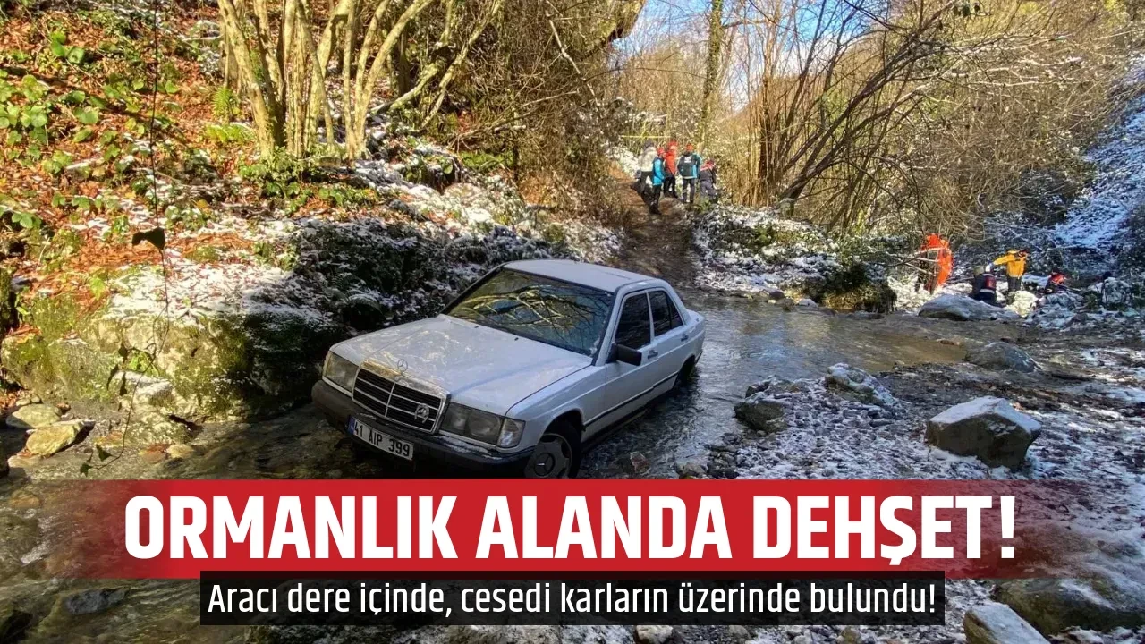 ORMANLIK ALANDA DEHŞET!