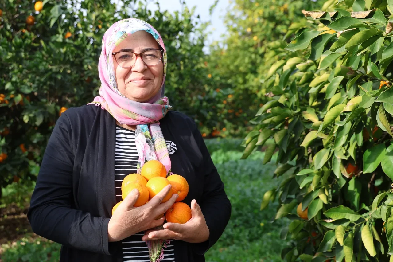 İmece usulü üretim