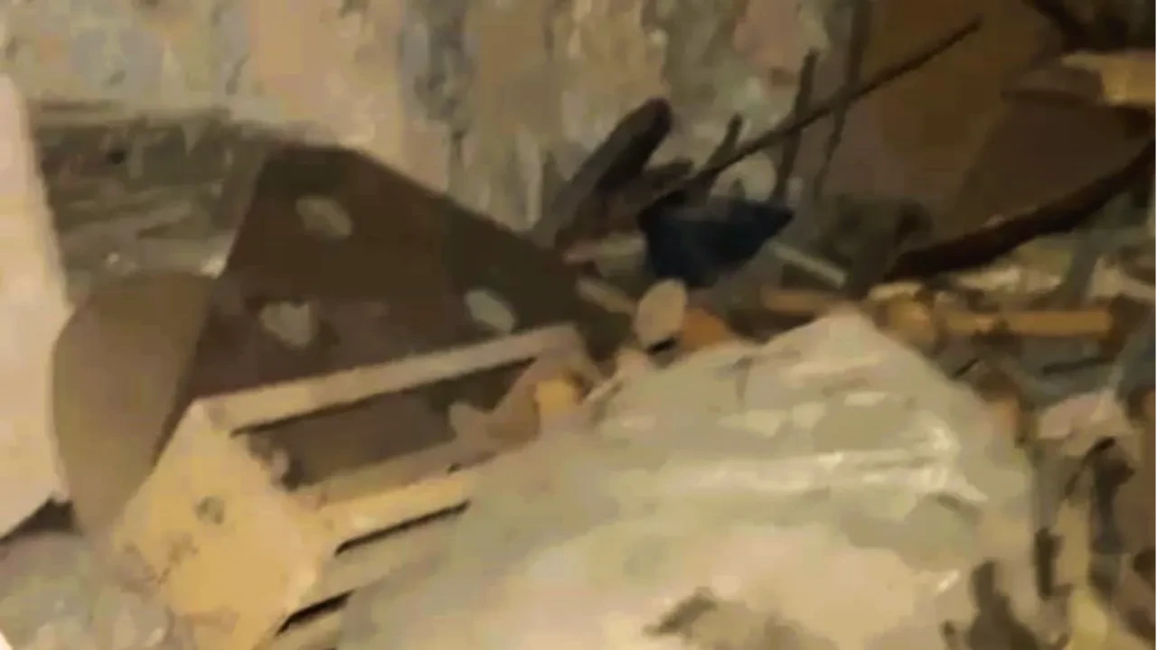 Defineciler tarihi hamamı talan etti