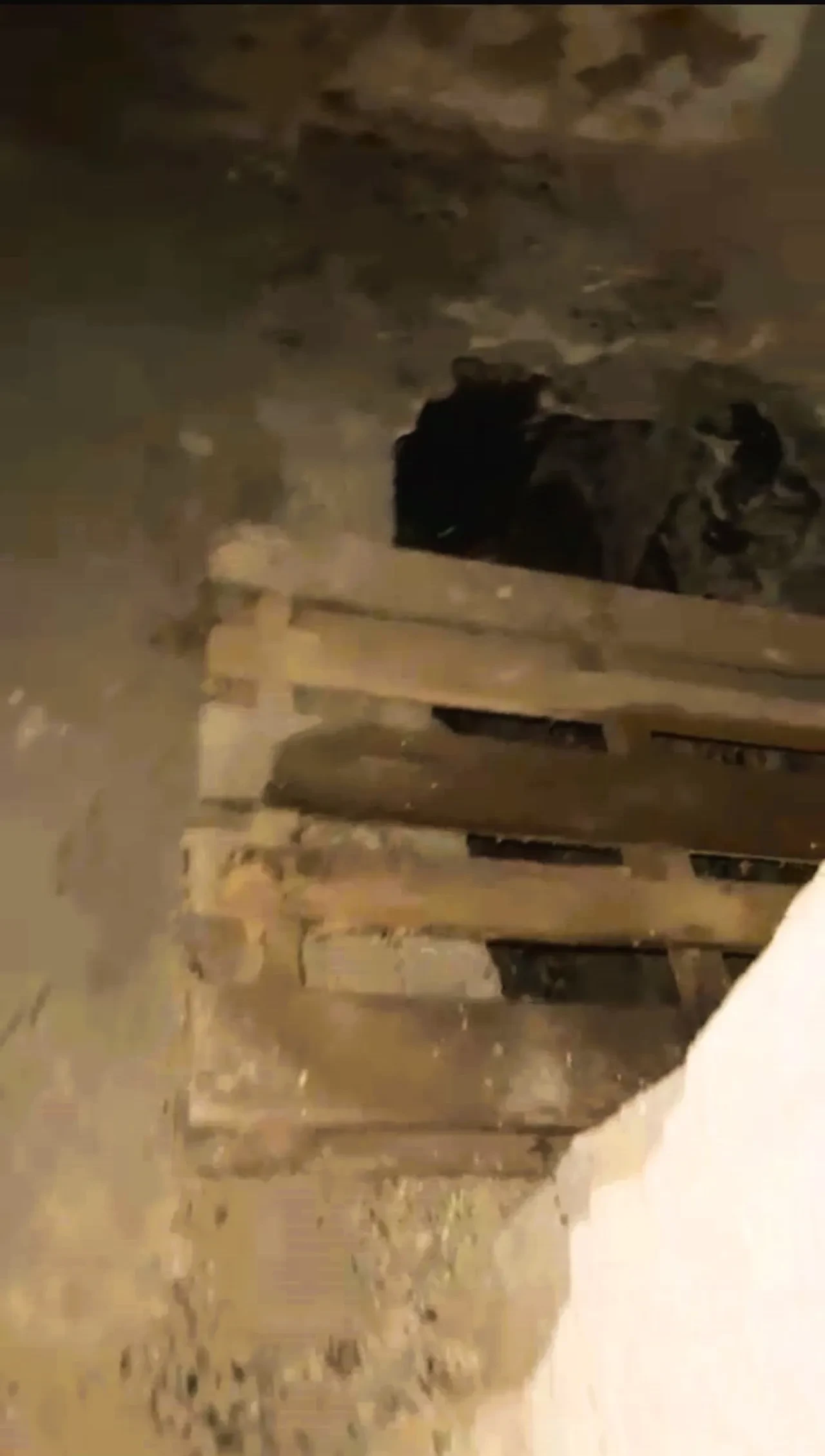 Defineciler tarihi hamamı talan etti