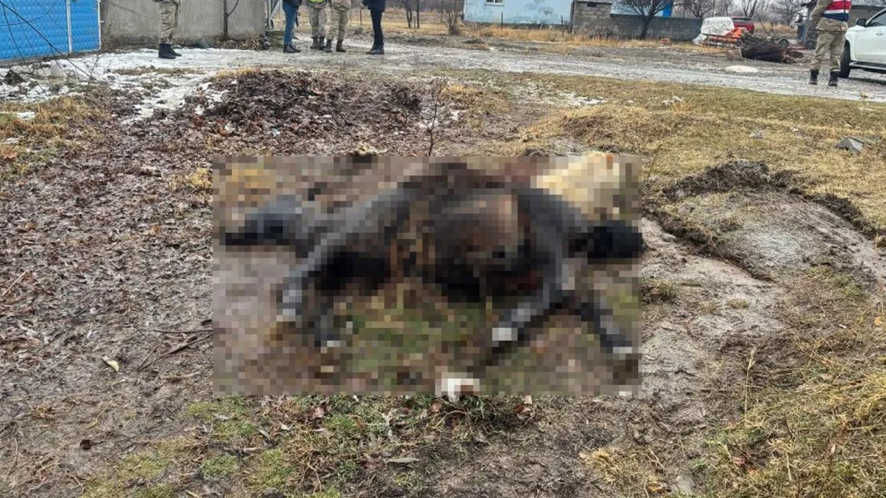 Erzincan'da köyü basıp at ve eşeği vurdular! Hayvanlarını yitiren vatandaşın tek isteği var