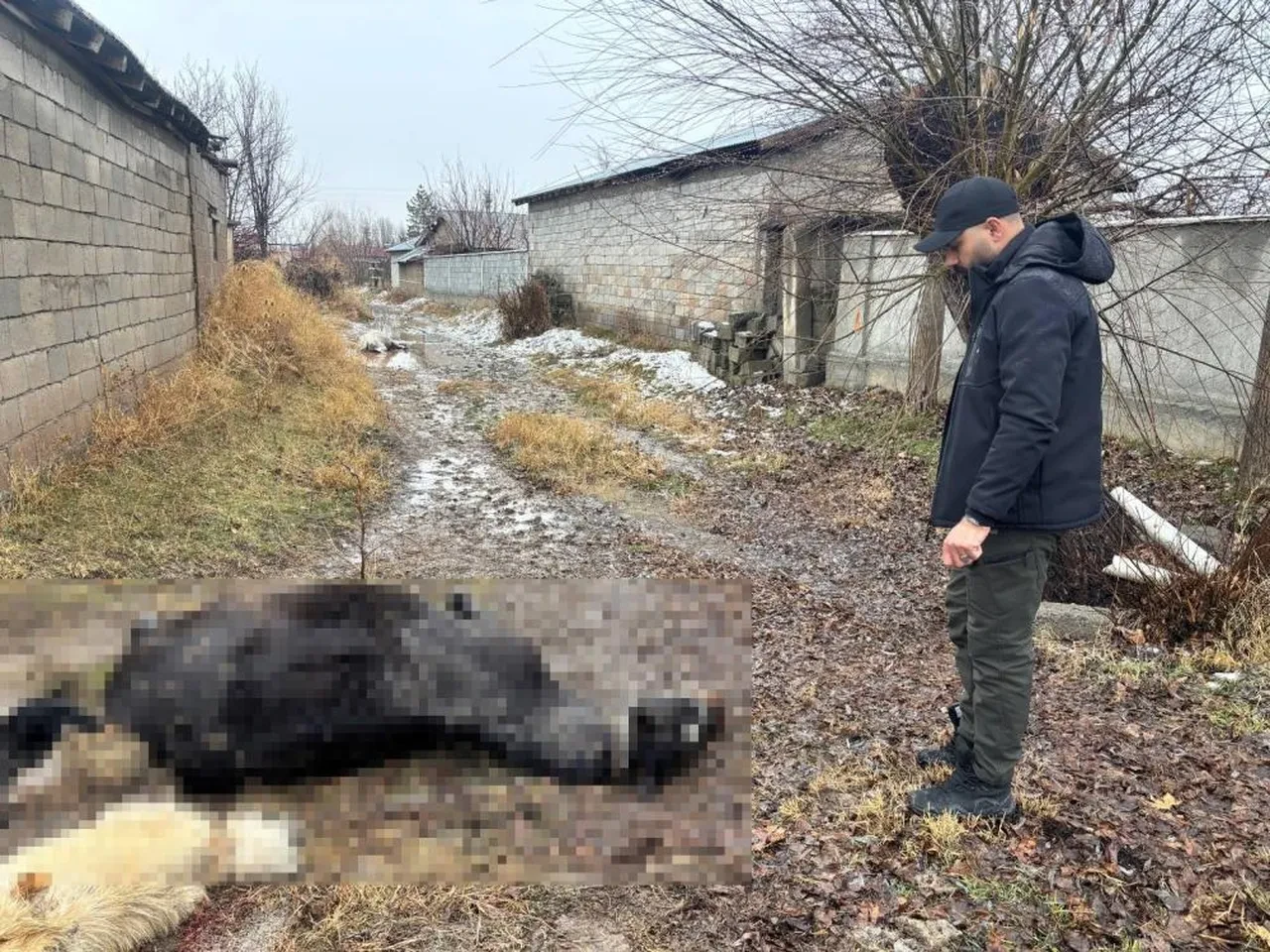 Erzincan'da köyü basıp at ve eşeği vurdular! Hayvanlarını yitiren vatandaşın tek isteği var