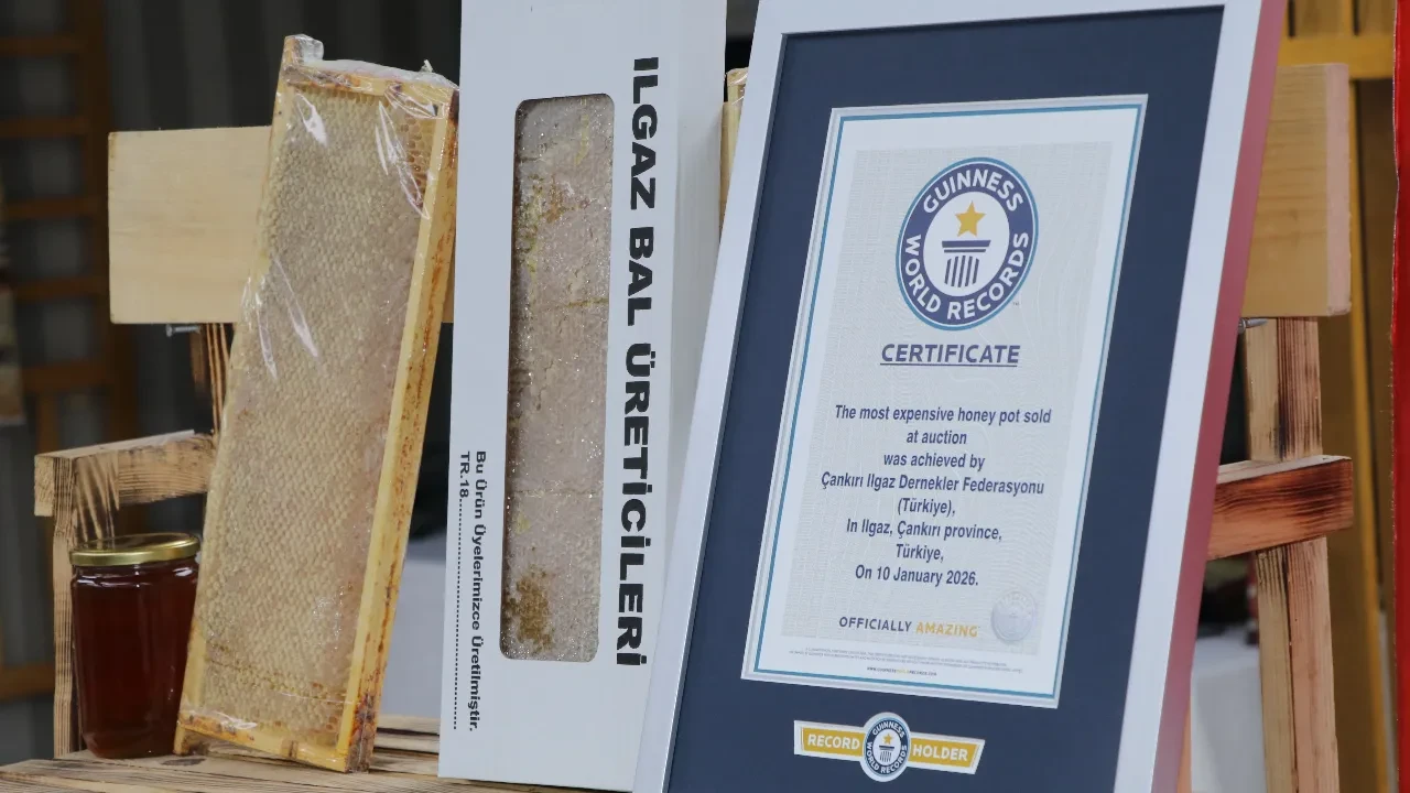 Bir kaşığı servet değerinde! Ilgaz’da üretilen bal Guinness Rekorlar Kitabı'na girdi