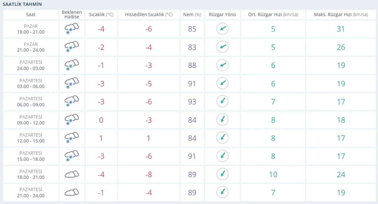 Malatya, Erzurum, Elazığ, Bursa'da yarın okullar tatil mi, var mı? 12 Ocak son dakika valilik kararları